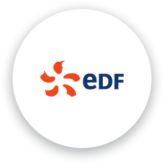 Icon EDF Interflex