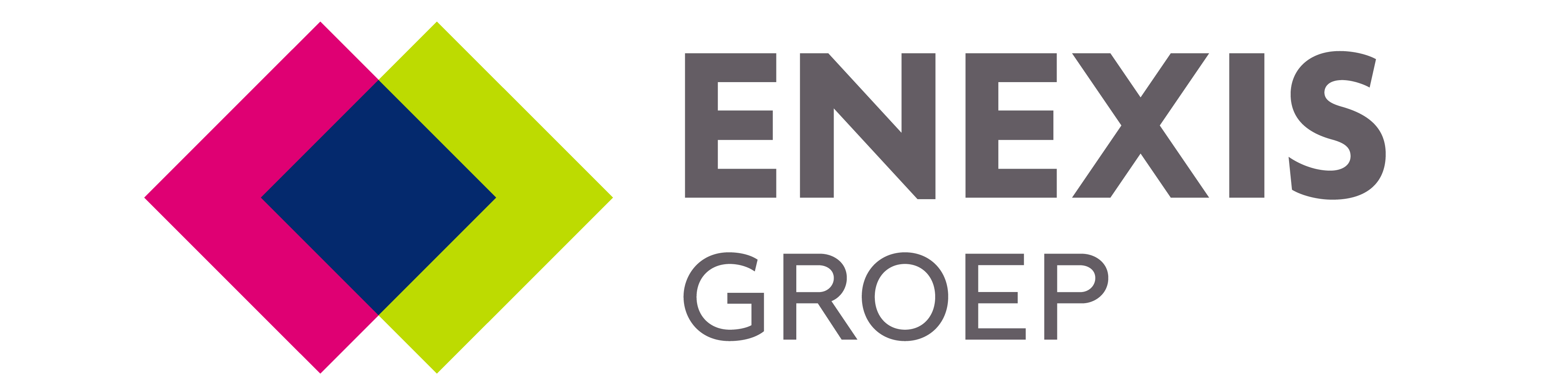Logo Header Enexis Interflex